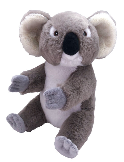 Peluche koala Ecokins de Wild Republic